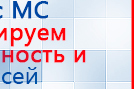 Пояс электрод купить в Ессентуках, Электроды Меркурий купить в Ессентуках, Медицинская техника - denasosteo.ru